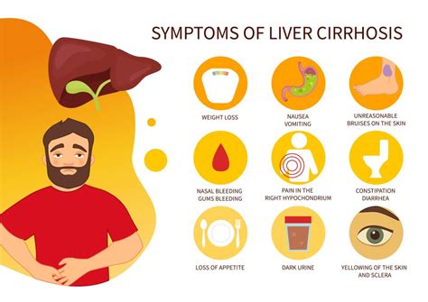 Cirrhosis: Causes, Signs, & Treatment